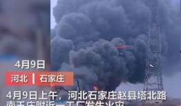 商丘最新爆料事件视频曝光,视频曝光惊人事件幕后真相