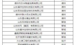 最新爆料工厂名单公布,揭秘各大知名品牌代工厂名单