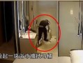 马桶监控最新爆料信息,揭秘隐私泄露背后的惊人真相