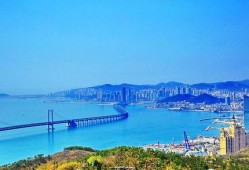 大连市最新爆料,揭秘城市新动向与热点事件
