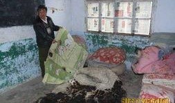 湖北襄樊市爆料事件最新,揭秘背后真相与影响