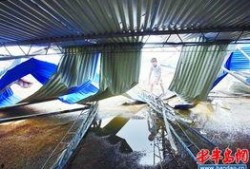 红岛街道最新爆料,揭秘神秘事件背后的真相